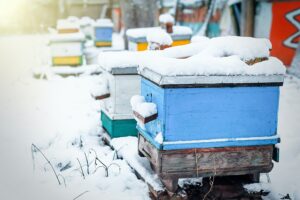 Bee Hive in Winter